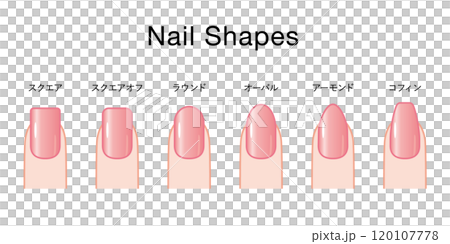 ネイルの形の種類セット（日本語タイプ） 120107778