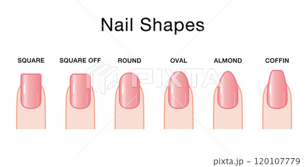 ネイルの形の種類セット（英語タイプ） 120107779