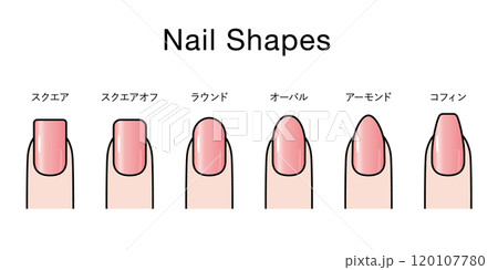 ネイルの形の種類セット（日本語タイプ） 120107780