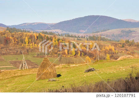 mountainous rural landscape in autumn. authentic transcarpathia. sunny afternoon. haystack on the grassy hill. beautiful countryside scenery of ukraine in bright evening light 120107791