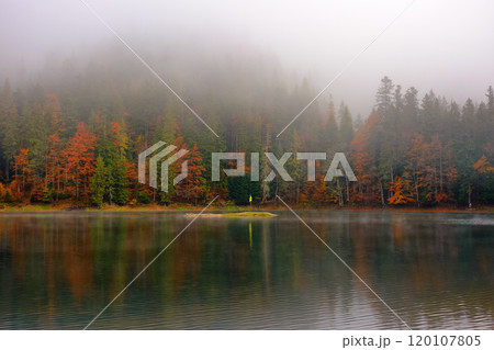 landscape with lake in autumn. foggy weather. trees in colorful foliage. spooky atmosphere. synevyr national park, ukraine 120107805