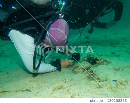 A scuba diver taking close-up shots of critters on a muck dive in Puerto Galera, Philippines 120108258