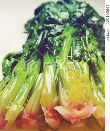 旬の野菜を食べよう 120108695