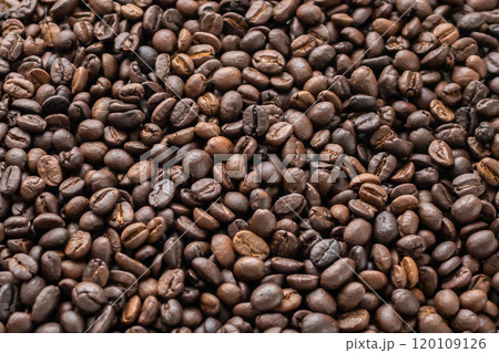 Fresh roasted brown coffee beans background 120109126