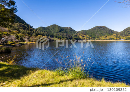 鹿児島県薩摩川内市の藺牟田池 120109282