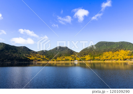 鹿児島県薩摩川内市の藺牟田池 鹿児島県薩摩川内市の藺牟田池 120109290