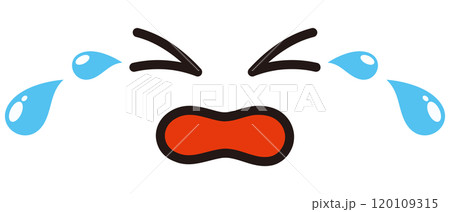 泣き顔のイラスト 120109315