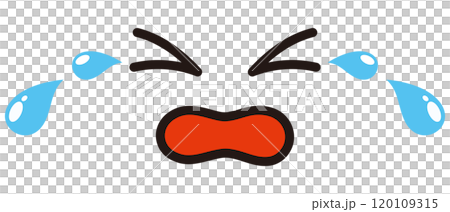 泣き顔のイラスト 120109315