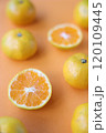 カットしたみかん 120109445