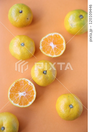 ならんだみかん 120109446