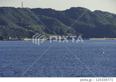 瀬戸内海　久々井漁港　岡山県岡山市 120109771