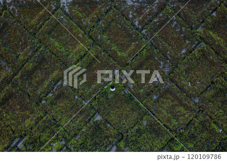 苔に包まれたコンクリートの美　時間が生み出す風景 120109786