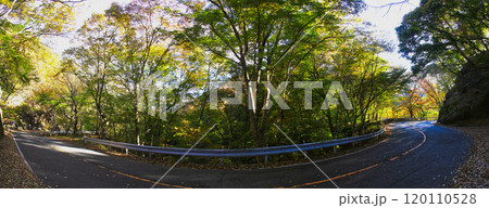 秋の紅葉が美しい道路のある風景 120110528