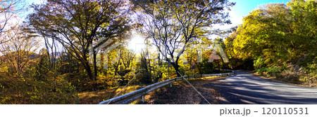 秋の紅葉が美しい道路のある風景 120110531