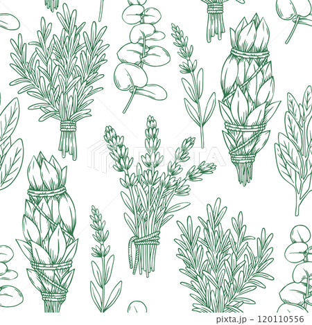 seamless pattern with herbs, rosemary, lavender, sage. vector illustration in sketch style. 120110556