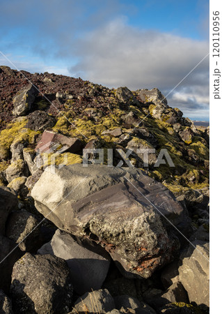 Detail of volcanic,, Grindavik, Iceland 120110956