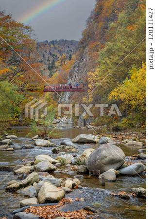 北海道　札幌　定山渓　秋　紅葉 120111427