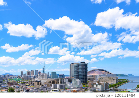 唐人町・大濠公園方面から望む早良区百道浜、地行浜、福岡タワー一帯　2024夏昼 120111484