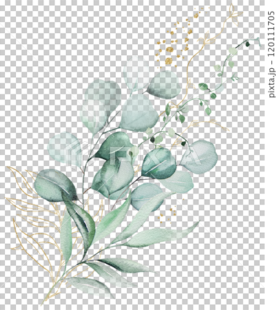 Bouquet with green and golden watercolor eucalyptus leaves, wedding illustration 120111705