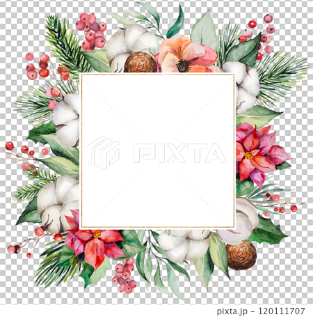 Christmas frame with watercolor green fir twigs, red berries and cotton flowers. Holidays Illustration 120111707