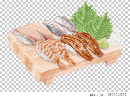 水彩の寿司_セット（盛合せ）15_1 120111931