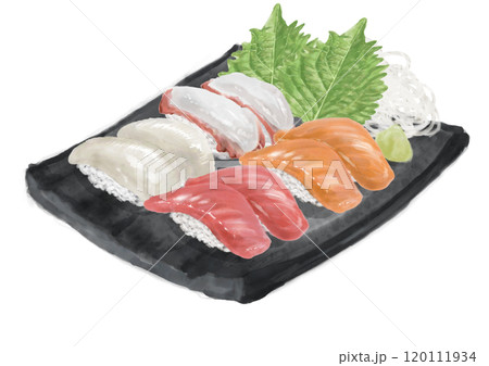 水彩の寿司_セット(盛合せ)14_2 水彩の寿司_セット(盛合せ)14_2 120111934