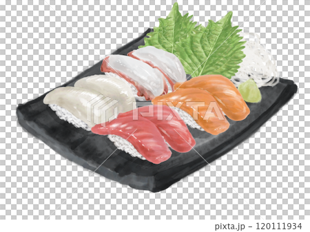 水彩の寿司_セット(盛合せ)14_2 水彩の寿司_セット(盛合せ)14_2 120111934