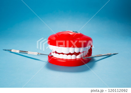 Jaw with white teeth on blue background. Dentist day concept  120112092