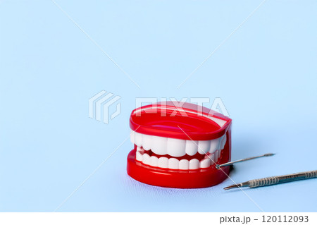 Jaw with white teeth on blue background. Dentist day concept  120112093