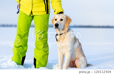 Female legs and dogs paws 120112504
