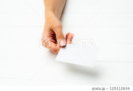White business card in girl hands White business card in girl hands 120112634