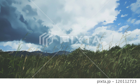 【風景・壁紙】草原と雲と青い空 【風景・壁紙】草原と雲と青い空 120112723