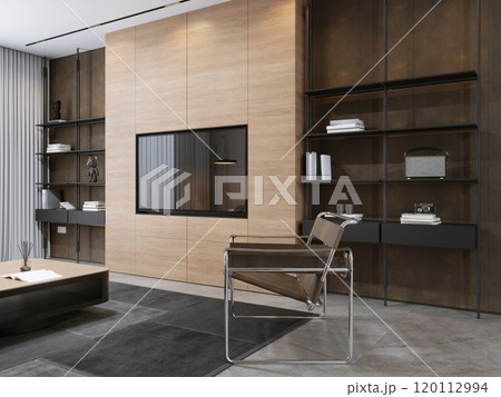 Modern minimalist living room interior with contemporary furniture and stylish shelving 120112994