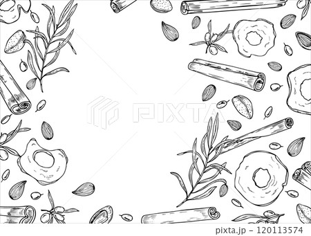 Cinnamon sticks, almond seeds, dried apple slices and sea buckthorn vector horizontal frame painted by black inks. Winter ingredients monochrome illustration for desserts, drinks. Copy space for text. Cinnamon sticks, almond seeds, dried apple slices and sea buckthorn vector horizontal frame painted by black inks. Winter ingredients monochrome illustration for desserts, drinks. Copy space for text. 120113574