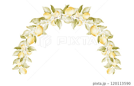 Lemon Watercolor border Wreath, arch with leaves on isolated background. Watercolor Drawing of Frame for wedding greeting cards or invitations. Botanical decoration for holiday and Event Invitations. 120113590