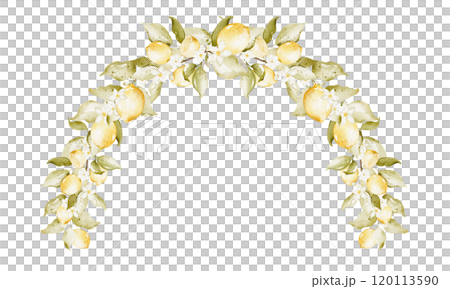 Lemon Watercolor border Wreath, arch with leaves on isolated background. Watercolor Drawing of Frame for wedding greeting cards or invitations. Botanical decoration for holiday and Event Invitations. 120113590