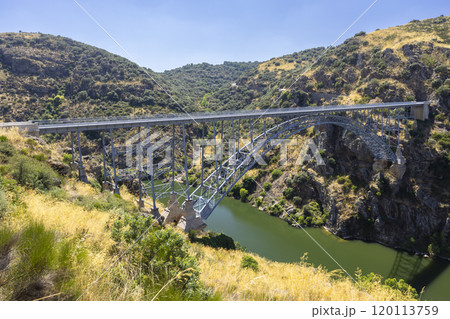 Puente de Requejo bridge, Pino del Oro, Castile and Leon, Spain 120113759