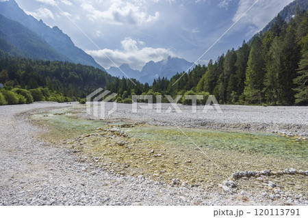 Pisnica river near Kranjska Gora, Triglavski national park, Slovenia 120113791