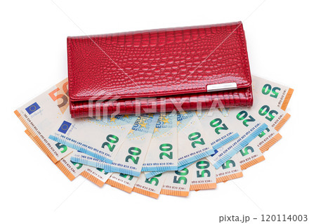 Red Leather Women Purse with Different Euro Banknotes - Isolated on White Red Leather Women Purse with Different Euro Banknotes - Isolated on White 120114003