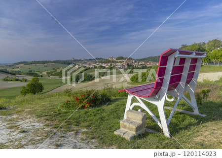 Typical vineyard near Castello di Razzano and Alfiano Natta, Barolo wine region, province of Cuneo, region of Piedmont, Italy Typical vineyard near Castello di Razzano and Alfiano Natta, Barolo wine region, province of Cuneo, region of Piedmont, Italy 120114023