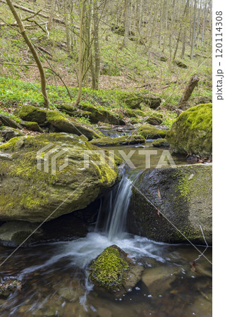 Typical landscape near Burg Kaja and Merkersdorf, National park Thayatal , Lower Austria, Austria 120114308
