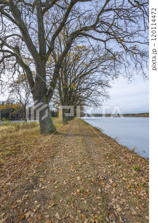 Typical autumn landscape in Trebonsko region, Velky Sustov pond near Suchdol nad Luznici, Southern Bohemia, Czech Republic Typical autumn landscape in Trebonsko region, Velky Sustov pond near Suchdol nad Luznici, Southern Bohemia, Czech Republic 120114472