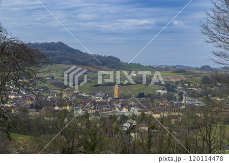 Vineyards with Arbois town, Department Jura, Franche-Comte, France Vineyards with Arbois town, Department Jura, Franche-Comte, France 120114478