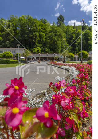 Luhacovice, picturesque spa town in Southern Moravia, Czech Republic 120114665