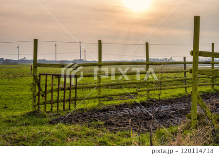 A pen in with a green meadow and a sunset sky in the background. Photo from Eslov, Scania, Sweden 120114718