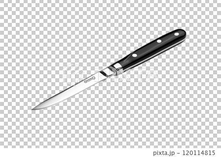 Sharp kitchen knife with sleek black handle and stainless steel blade, perfect for culinary tasks Sharp kitchen knife with sleek black handle and stainless steel blade, perfect for culinary tasks 120114815