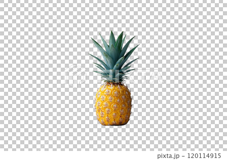 Fresh pineapple with vibrant green leaves and textured yellow exterior, perfect for tropical themes and culinary uses 120114915