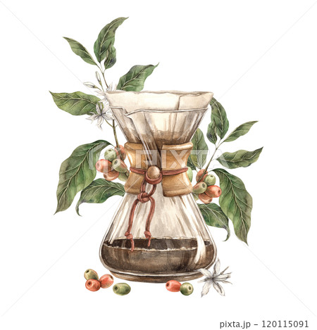 Coffee maker for brewing filter coffee from a glass flask with coffee tree branches and unripe beans. Watercolor illustration on isolated background for branding shops, cafes, banners, postcards Coffee maker for brewing filter coffee from a glass flask with coffee tree branches and unripe beans. Watercolor illustration on isolated background for branding shops, cafes, banners, postcards 120115091