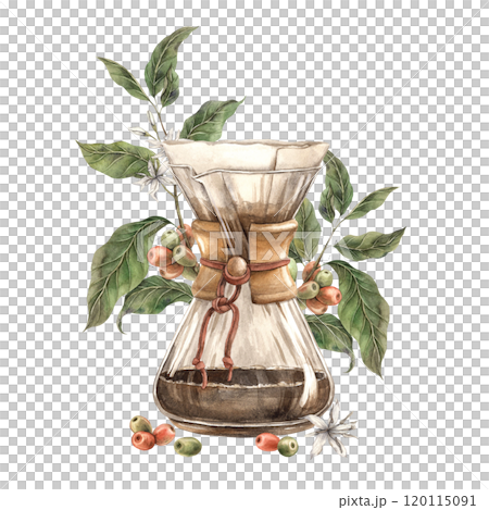 Coffee maker for brewing filter coffee from a glass flask with coffee tree branches and unripe beans. Watercolor illustration on isolated background for branding shops, cafes, banners, postcards 120115091