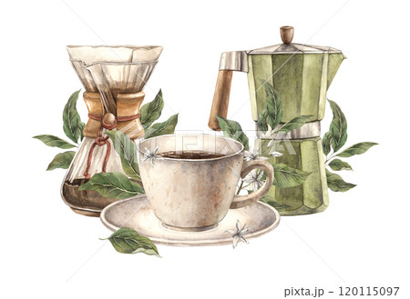 Cup of hot coffee with green leaves and flowers of coffee tree. Geyser coffee maker and glass filter, watercolor composition template on isolated background, for shops and cafes, packaging and menu 120115097